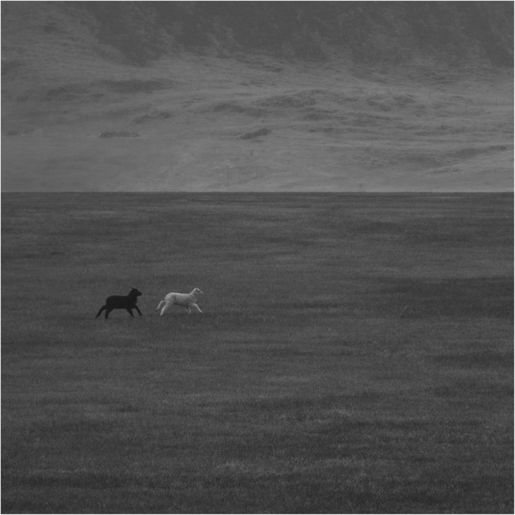Iceland road trip photo 6