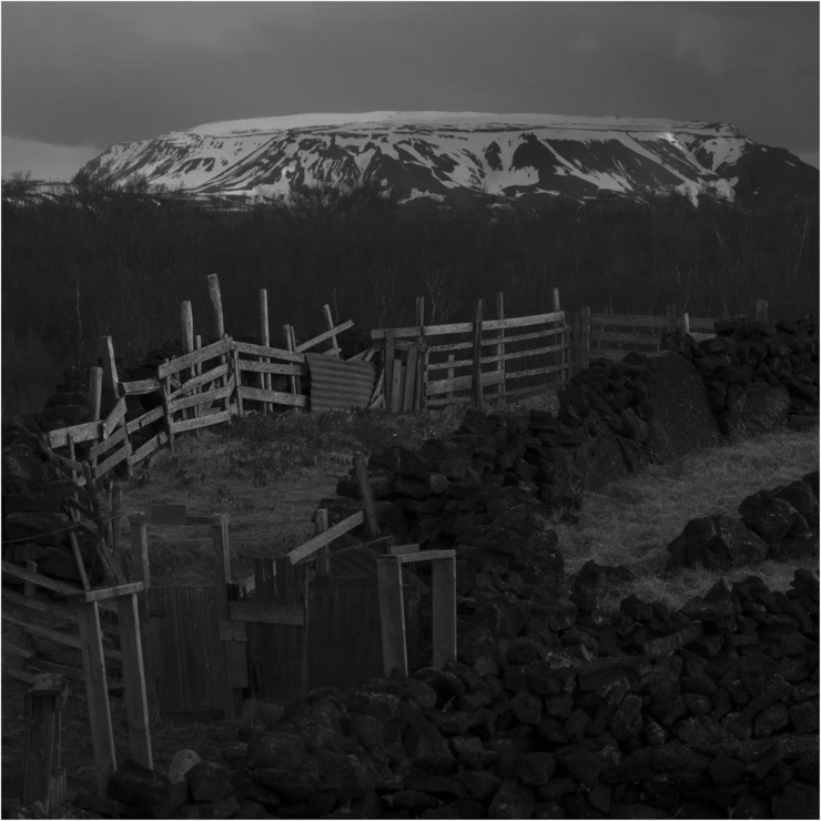 Iceland road trip photo 8