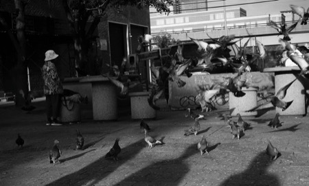 Travel photo 11
